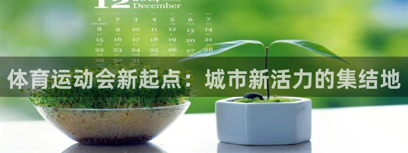 谈球吧体育官网：体育运动会新起点：城市新活力的集结地