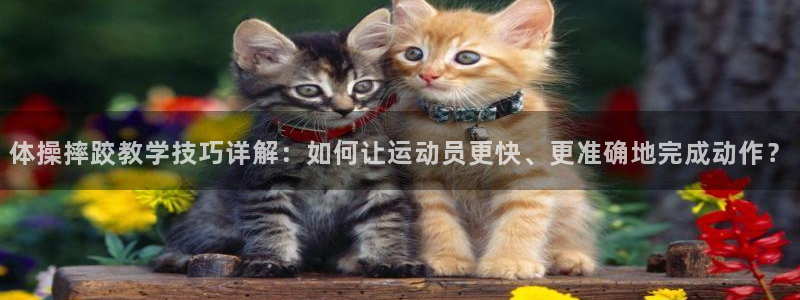 谈球吧体育：体操摔跤教学技巧详解：如何让运动员更快、更准确地完成动作？