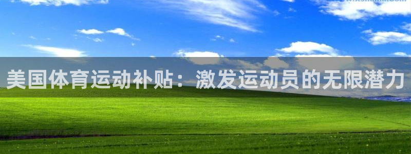 谈球吧：美国体育运动补贴：激发运动员的无限潜力