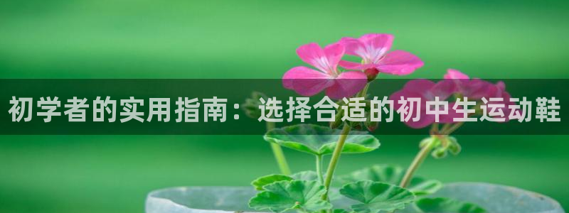 谈球吧：初学者的实用指南：选择合适的初中生运动鞋