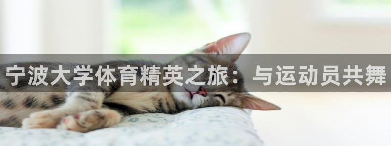 谈球吧体育官网：宁波大学体育精英之旅：与运动员共舞