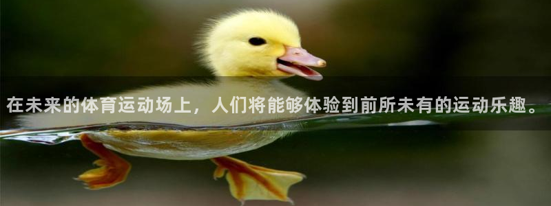 谈球吧体育官网：在未来的体育运动场上，人们将能够体验到前所未有的运动乐趣。