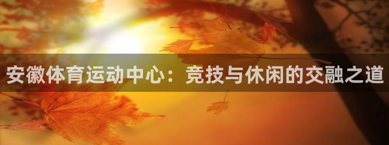 谈球吧体育官网：安徽体育运动中心：竞技与休闲的交融之道