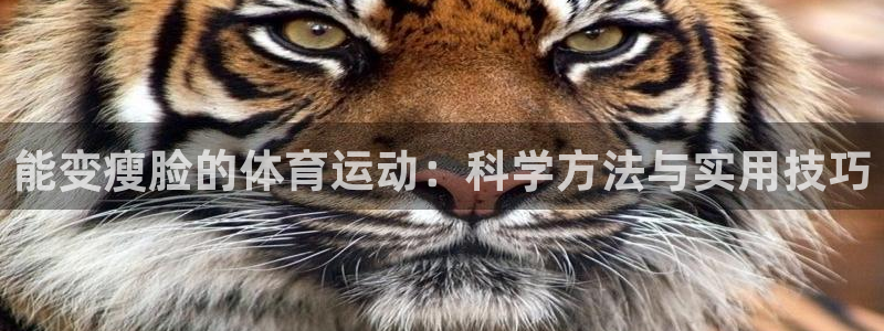 谈球吧：能变瘦脸的体育运动：科学方法与实用技巧