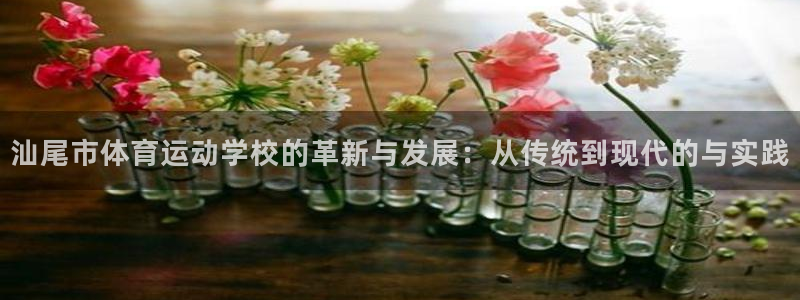 谈球吧体育官网：汕尾市体育运动学校的革新与发展：从传统到现代的与实践