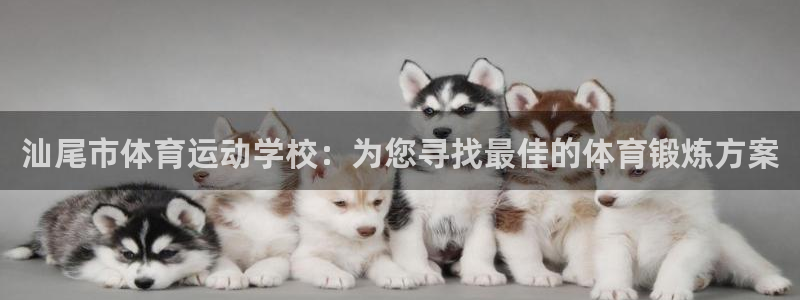 谈球吧：汕尾市体育运动学校：为您寻找最佳的体育锻炼方案
