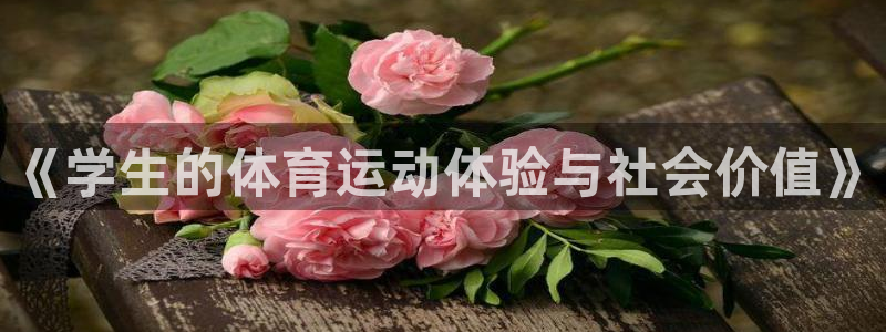 谈球吧体育：《学生的体育运动体验与社会价值》